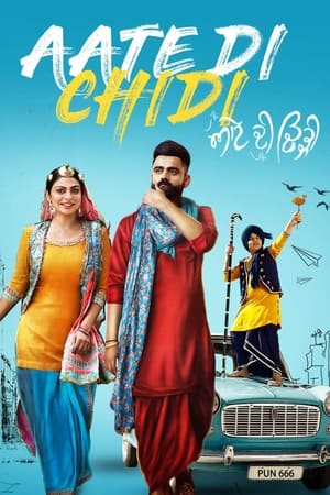 Aate di chidi (2018) Punjabi Movie 480p HDRip - [400MB]