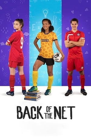 Back of the Net (2019) Hindi Dual Audio 720p Web-DL [800MB]
