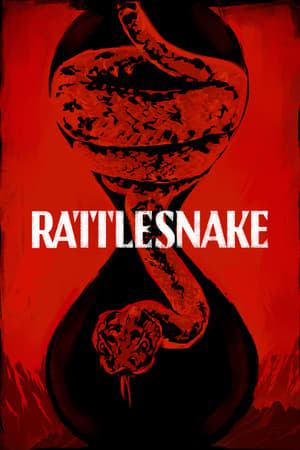 Rattlesnake (2019) Hindi Dual Audio 480p Web-DL 300MB
