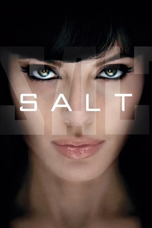 Salt (2010) Hindi Dual Audio 720p BluRay [800MB]