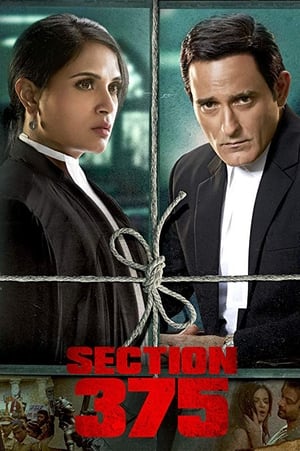 Section 375 (2019) Hindi Movie 720p HDRip x264 [980MB]