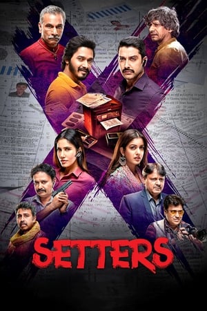 Setters (2019) Hindi Movie 720p HDRip x264 [1GB]