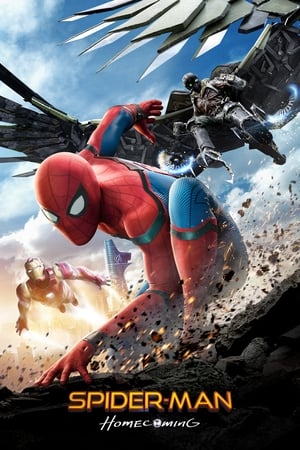 Spider-Man Homecoming 2017 Dual Audio Hindi Full Movie 720p Bluray - 1.2GB