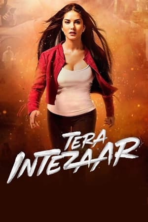 Tera Intezaar 2017 Movie 720p HDRip x264 [850MB]