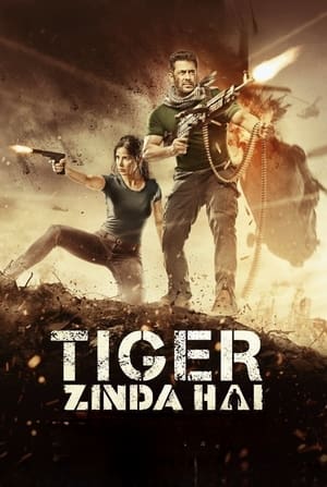 Tiger Zinda Hai 2017 Movie 720p BluRay x264 [1.4GB]
