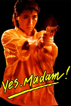 Yes Madam 1985 300MB Hindi Dubbed BRRip 480p Download